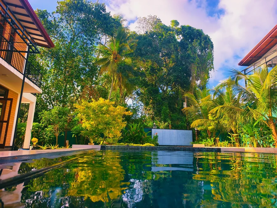Garden and trees reflected in the private pool — Syndeo Garden, Hikkaduwa