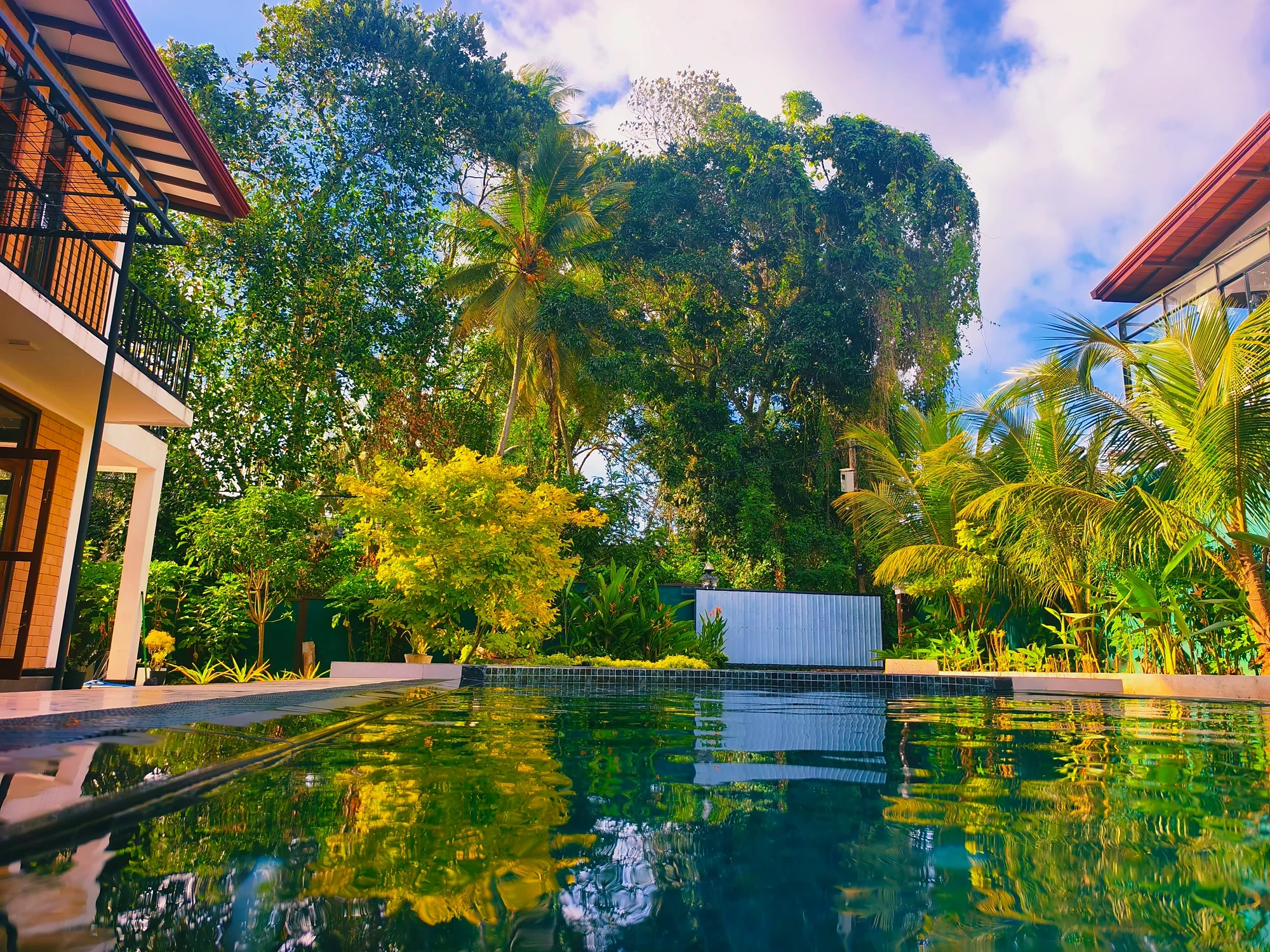 Garden and trees reflected in the private pool — Syndeo Garden, Hikkaduwa Garden and trees reflected in the private pool — Syndeo Garden, Hikkaduwa