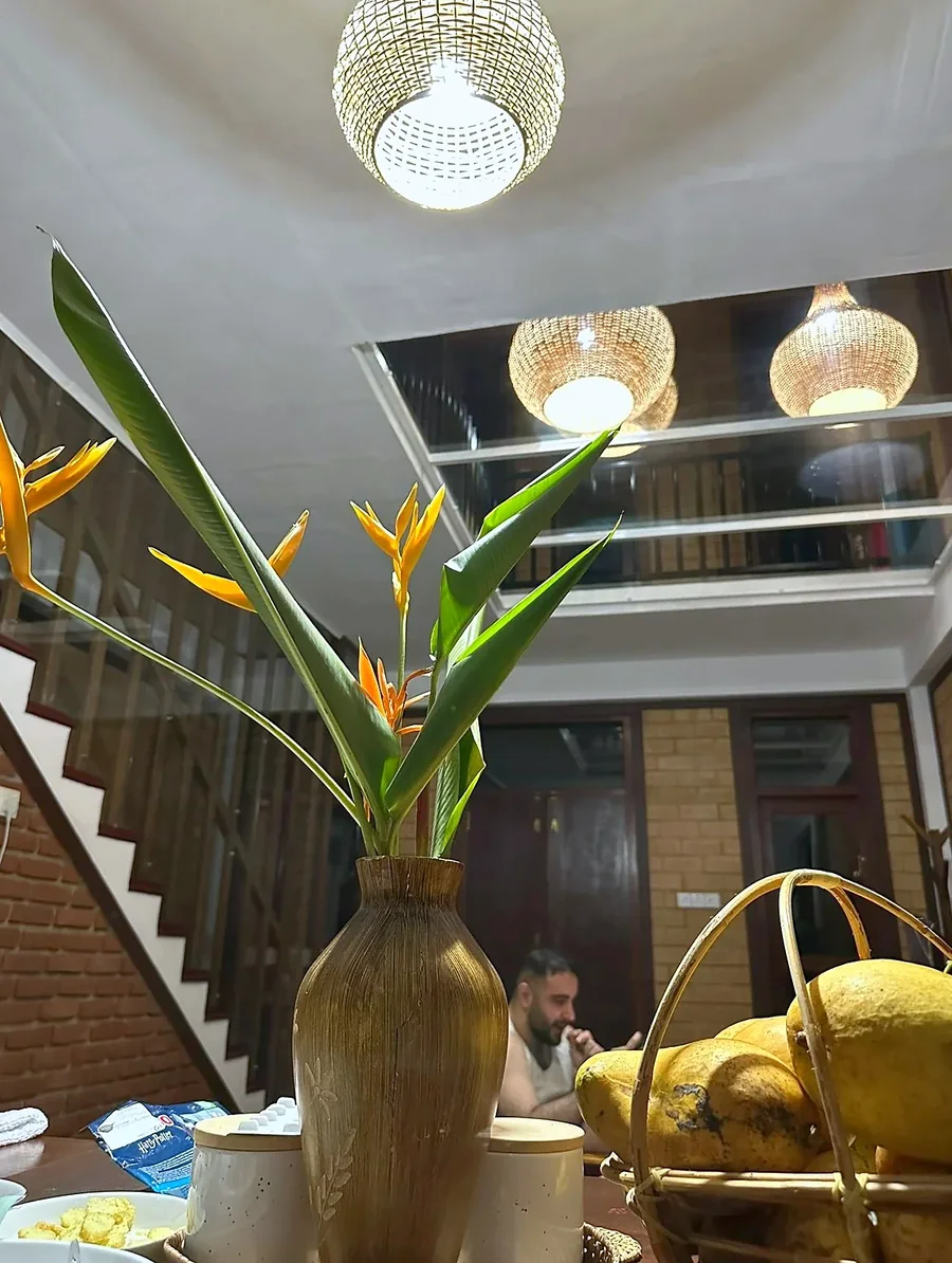 Tropical flowers on the villa table — Syndeo Garden, Hikkaduwa
